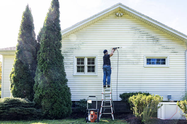 Best Gutter Cleaning and Brightening in Rocky Mount, VA